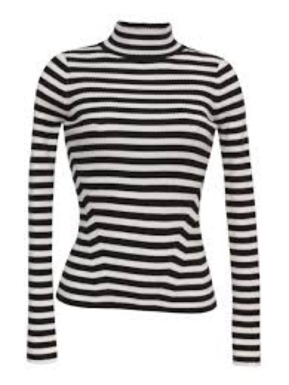 Eleven Six Striped Black and White Turtleneck Sweater - Women